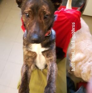 Meet your Posher, Wendy